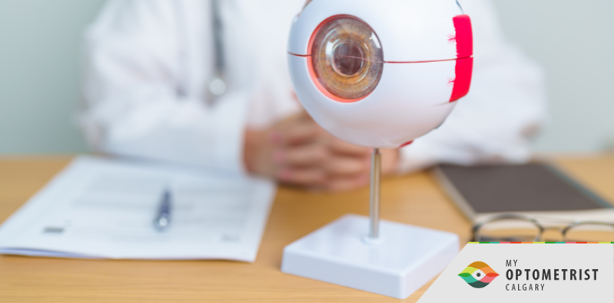 5 Ways to Reduce Your Risk of Diabetic Retinopathy