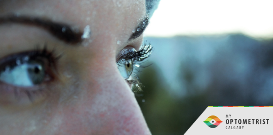 Winter Vision Tips: Protect Your Eyes from Glare, Dryness, and Strain 