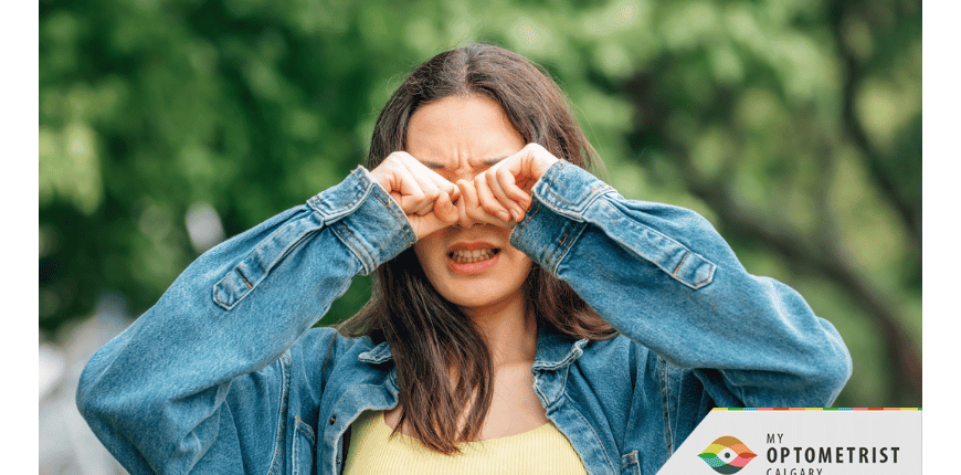 Dry Eye vs Eye Allergies: How to Tell the Difference