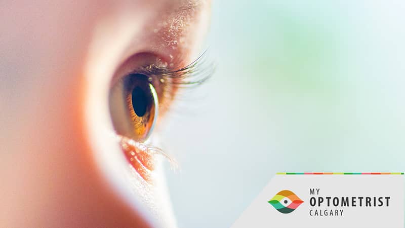 World Glaucoma Week: Can Children Get Glaucoma?