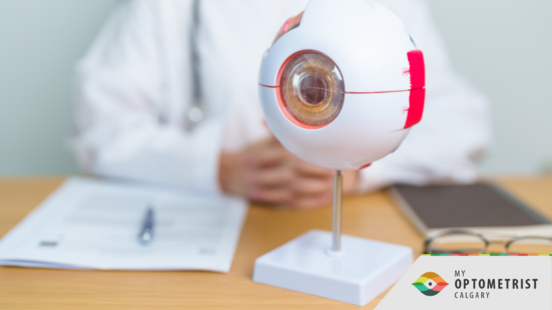 5 Ways to Reduce Your Risk of Diabetic Retinopathy